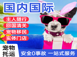 莫高机场货运国际宠物托运 【国